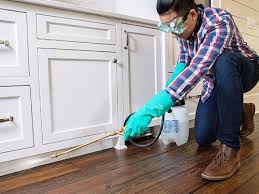 Best Real Estate Pest Inspections  in Jefferson, GA